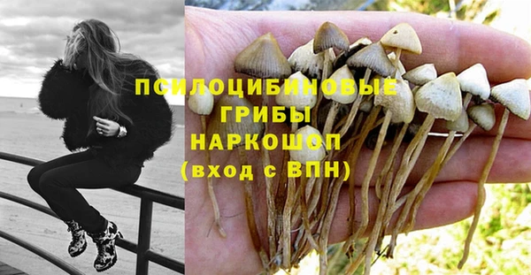 метадон Новозыбков